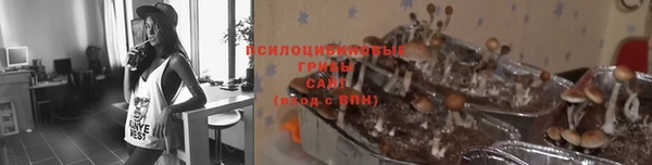 ALPHA-PVP Алексеевка