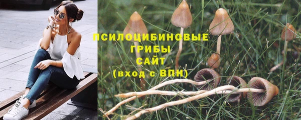ALPHA-PVP Алексеевка
