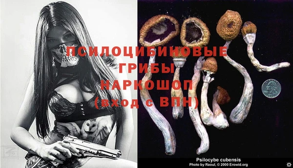 ALPHA-PVP Алексеевка
