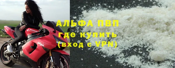 гидра Ельня