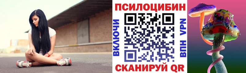 как найти Пушкино Галлюциногенные грибы Cubensis